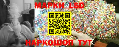 гидропоника Сланцы