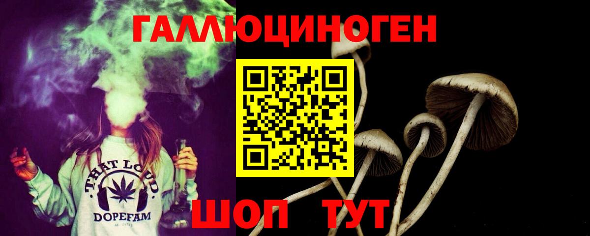 Псилоцибиновые грибы GOLDEN TEACHER Отрадный