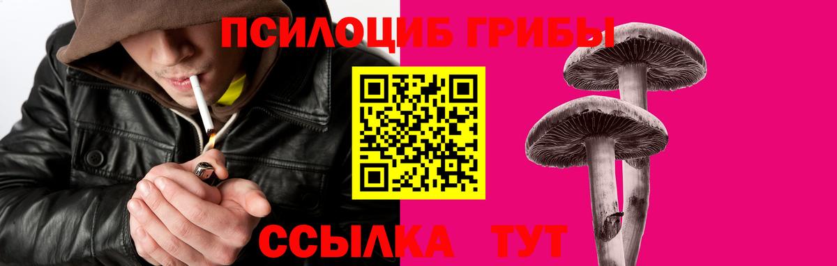 APVP Отрадный